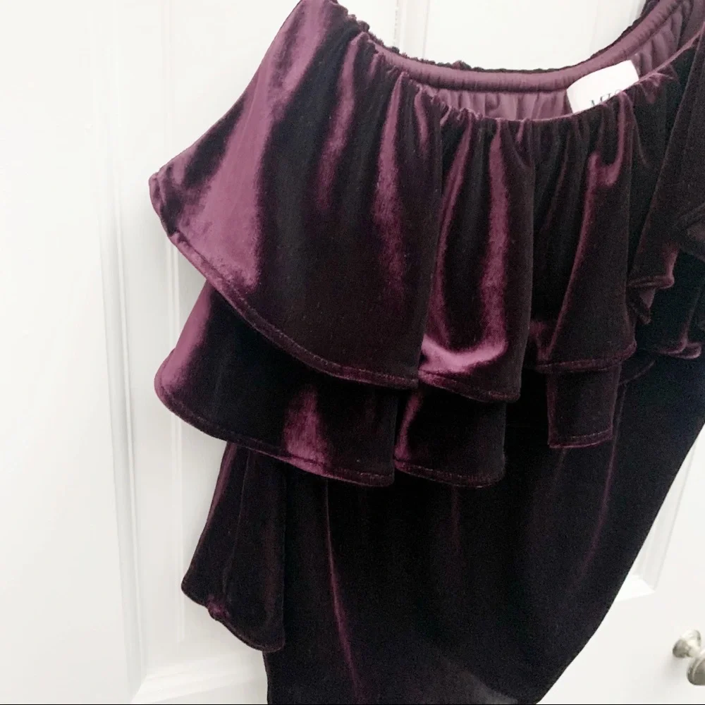 MISA Ruffle One-shoulder Velvet Top In Plum Velvet - Picture 6 of 8